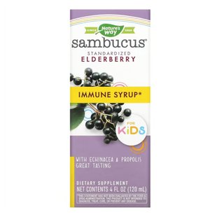 Nature's Way Sambucus Immune Syrup For Kids 4 OZ. 2022-10-1105 фото