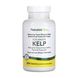 NaturesPlus Kelp 300 tabs 2023-10-2363 фото 1