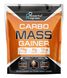 Powerful Progress Carbo Mass Gainer Морозиво 2кг 18157-12 фото 1