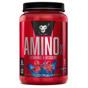 BSN Amino X Блакитна Малина 1,01кг 02951-01 фото