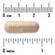 Swanson Full Spectrum Shiitake Mushroom 500 mg 60 capsules 2023-10-2304 фото 3