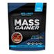 Willmax Mass Gainer Вишня 2кг 10566-14 фото 1