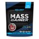 Willmax Mass Gainer Лісова Ягода 2кг 10566-07 фото 1