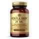 Gentle Iron - 90 vcaps 2022-10-1529 фото 1