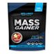 Willmax Mass Gainer Яблуко 2кг 10566-13 фото 1